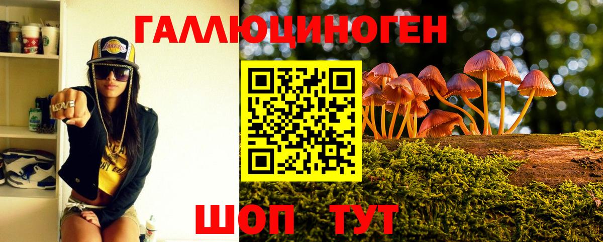 ГАШ Тольятти