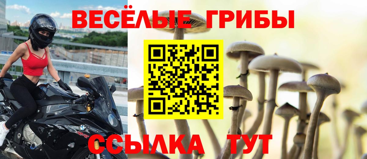 Псилоцибиновые грибы Magic Shrooms Тольятти